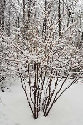 Journal Scenic Winter Weather Woods: (Notebook, Diary, Blank Book)