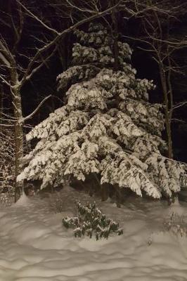Journal Snow Coverered Winter Evergreen Night: (notebook, Diary, Blank Book)