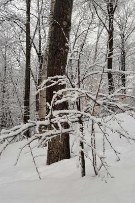 Journal Winter Afternoon: (Notebook, Diary, Blank Book)