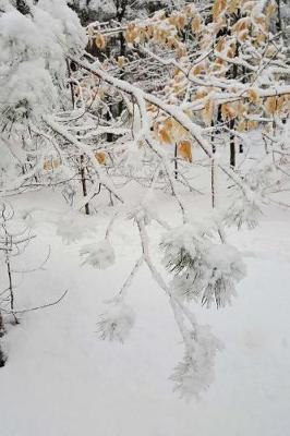 Journal Winter Day Picture: (Notebook, Diary, Blank Book)