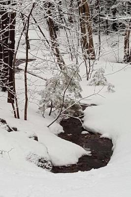 Journal Winter Morning: (Notebook, Diary, Blank Book)