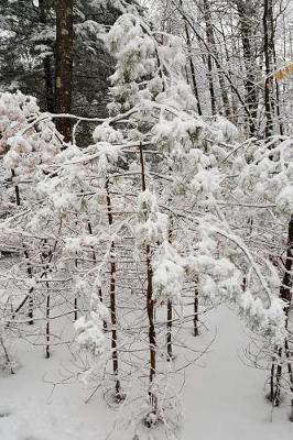 Journal Winter Photography: (Notebook, Diary, Blank Book)