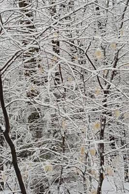 Journal Winter Picture Pretty: (Notebook, Diary, Blank Book)