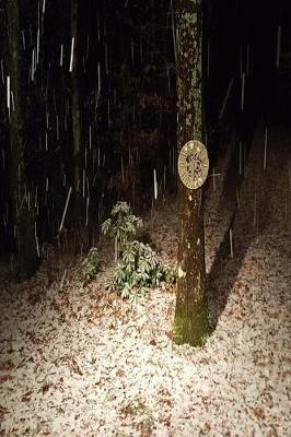 Journal Winter Snow Night Bright Lights: (notebook, Diary, Blank Book)