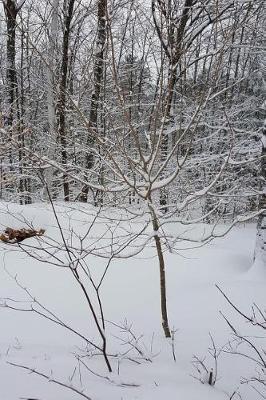 Journal Winter Weather Beautiful Scene: (Notebook, Diary, Blank Book)