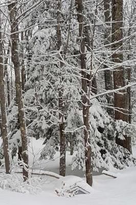 Journal Winter Weather Scene: (notebook, Diary, Blank Book)