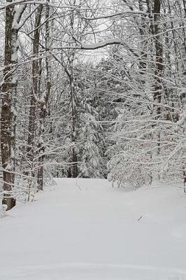 Journal Winter Weather Woodland Path: (notebook, Diary, Blank Book)