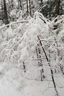 Lovely Winter Photography Journal: (Notebook, Diary, Blank Book)