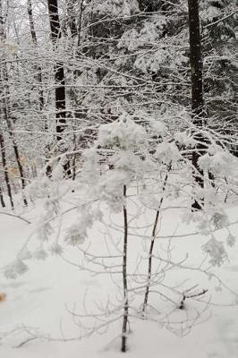 Lovely Winter Picture Journal: (Notebook, Diary, Blank Book)