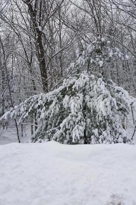 Lovely Winter Weather Journal: (notebook, Diary, Blank Book)