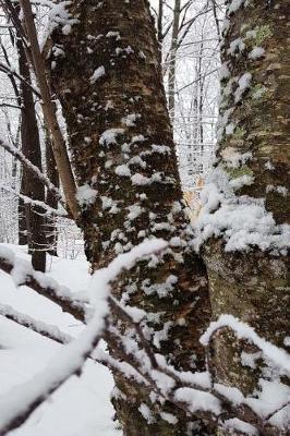 Overcast Morning Winter Journal: (notebook, Diary, Blank Book)