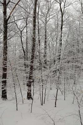 Overcast Winter Afternoon Journal: (notebook, Diary, Blank Book)