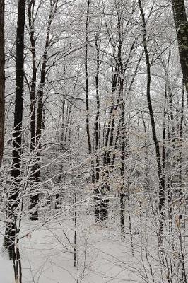 Overcast Winter Day Journal: (Notebook, Diary, Blank Book)