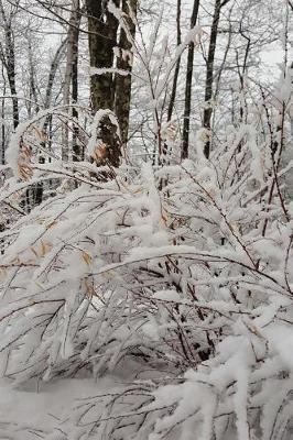 Overcast Winter Morning Journal: (notebook, Diary, Blank Book)