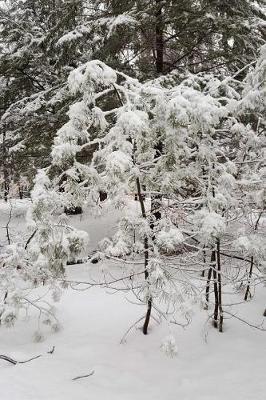 Pretty Winter Day Photography Journal: (notebook, Diary, Blank Book)