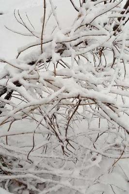 Scenic Winter Photo Journal Snow Covered Branches: (Notebook, Diary, Blank Book)