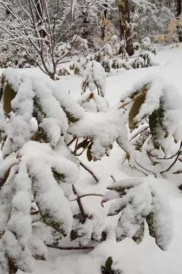 Scenic Winter Photo Journal: (Notebook, Diary, Blank Book)