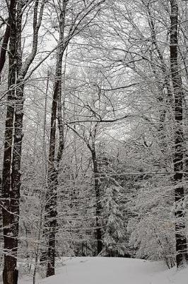 Scenic Winter Picture Journal: (notebook, Diary, Blank Book)