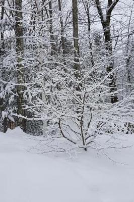 Scenic Winter Weather Journal: (notebook, Diary, Blank Book)