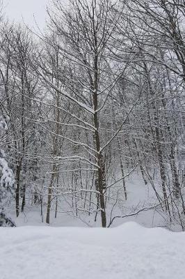 Snow Covered Trees Winter Weather Journal: (Notebook, Diary, Blank Book)