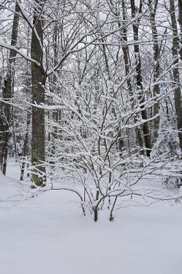 Snowstorm Effect Winter Weather Journal: (Notebook, Diary, Blank Book)