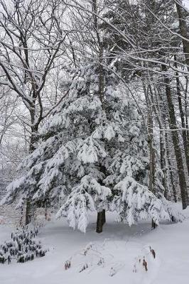 Snowstorm Trees Winter Weather Journal: (Notebook, Diary, Blank Book)