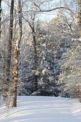 Sunlight Shadows Winter Day Journal: (Notebook, Diary, Blank Book)