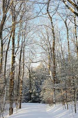 Sunlight Shadows Winter Weather Journal: (Notebook, Diary, Blank Book)
