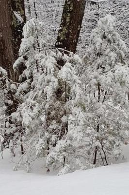 Winter Afternoon Journal: (Notebook, Diary, Blank Book)