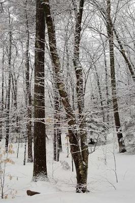 Winter Day Journal Overcast: (Notebook, Diary, Blank Book)