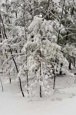 Winter Day Photography Journal: (Notebook, Diary, Blan