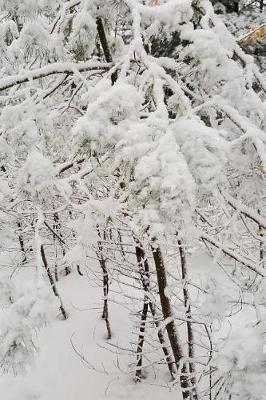 Winter Day Picture Journal: (Notebook, Diary, Blank Book)