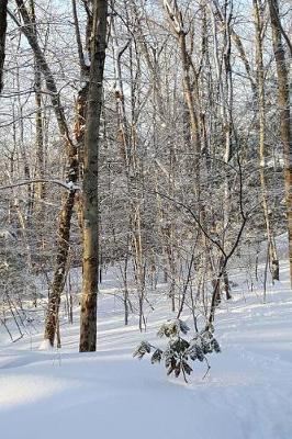 Winter Journal Sunlight Shadows: (notebook, Diary, Blank Book)