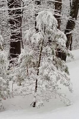 Winter Morning Journal: (Notebook, Diary, Blank Book)