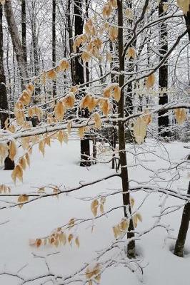 Winter Photography Journal: (Notebook, Diary, Blank Book)