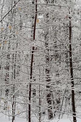 Winter Picture Lovely Journal: (Notebook, Diary, Blank Book)