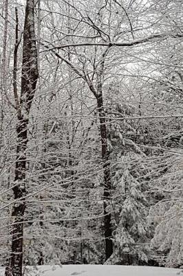 Winter Picture Pretty Journal: (notebook, Diary, Blank Book)