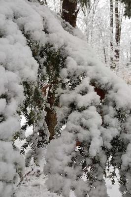 Winter Picture Snow Journal: (Notebook, Diary, Blank Book)