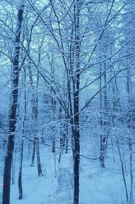 Winter Weather Journal Blue Hour: (notebook, Diary, Blank Book)