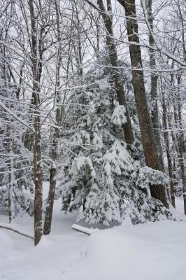 Winter Weather Journal Snowstorm Effect: (Notebook, Diary, Blank Book)