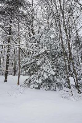 Winter Weather Journal Snowstorm Trees: (notebook, Diary, Blank Book)