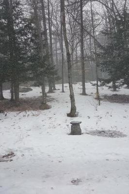 Winter Weather Journal Snowy Foggy Day: (notebook, Diary, Blank Book)