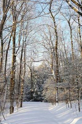 Winter Weather Journal Sunlight Shadows: (Notebook, Diary, Blank Book)