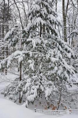 Woods After Snowstorm Winter Weather Journal: (Notebook, Diary, Blank Book)