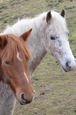 Two Horses Are Looking at You Equestrian Journal: 150 Page Lined Notebook/Diary