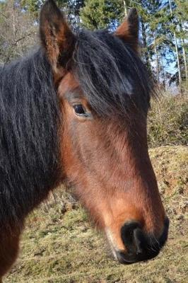 A Captivating Brown Horse with a Black Mane Portrait Equestrian Journal: 150 Page Lined Notebook/Diary
