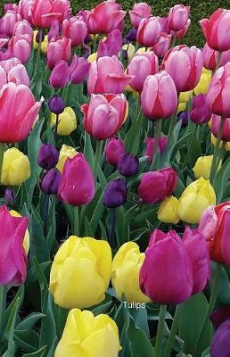 Tulips: Journal