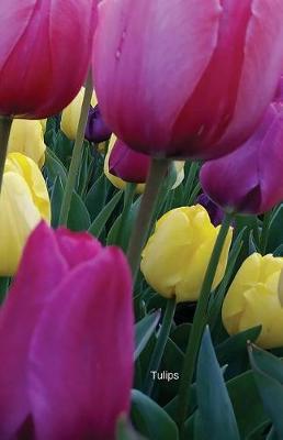 Tulips: Journal