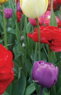Tulips: Journal