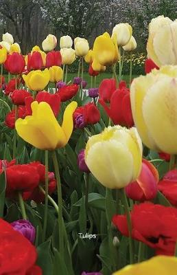 Tulips: Journal